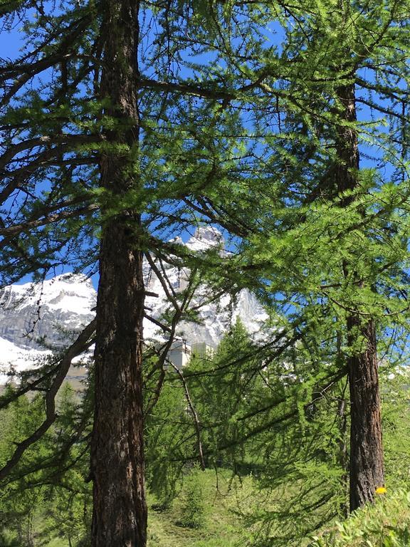 Appartamento Les Jumeaux Breuil-Cervinia Exterior foto